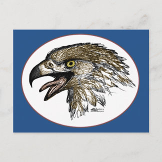 Eagle Screaming Postcard