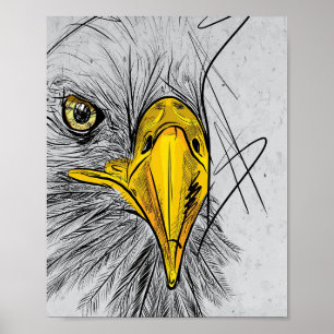 Eagle Sketch Face Wall Art
