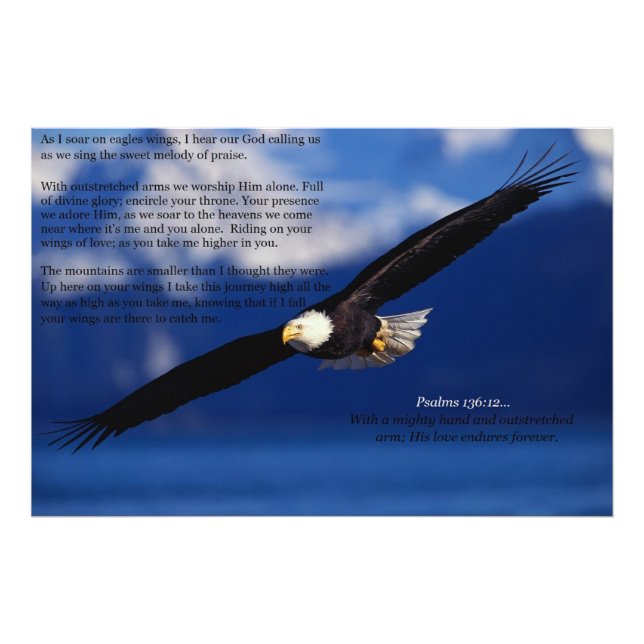 Eagle Soaring High Photo Print (Front)