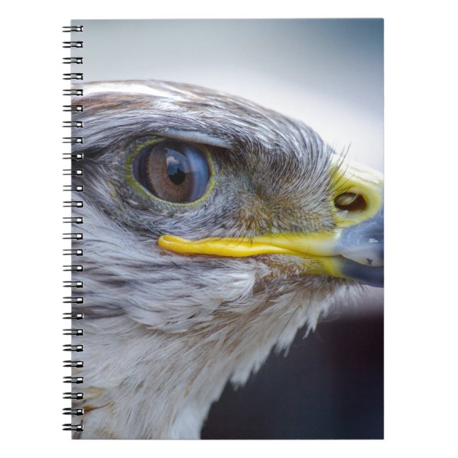 Eagle Spiral Notebook (Front)