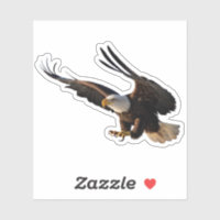 Eagle Swooping Down