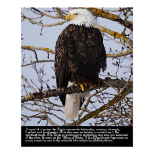 Eagle Symbolism Poster