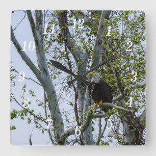 Eagle Watch Out Wall Clock