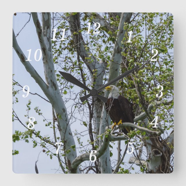 Eagle Watch Out Wall Clock (Front)