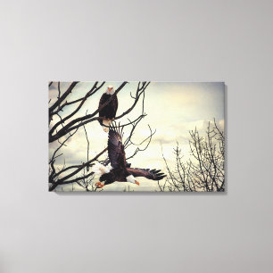 Eagle Watching Eagle Canvas Print
