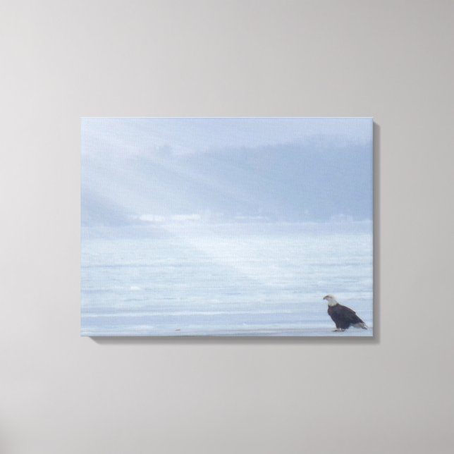 Eagle wildlife nature art canvas print (Front)
