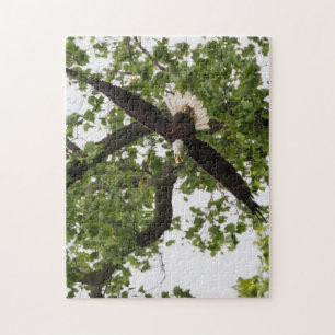 Eagle Wingspan Jigsaw Puzzle