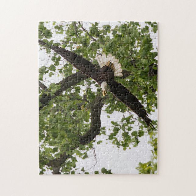 Eagle Wingspan Jigsaw Puzzle (Vertical)