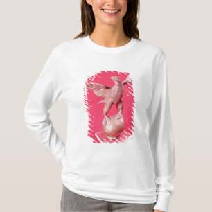 Eagle with spread wings on a ball T-Shirt