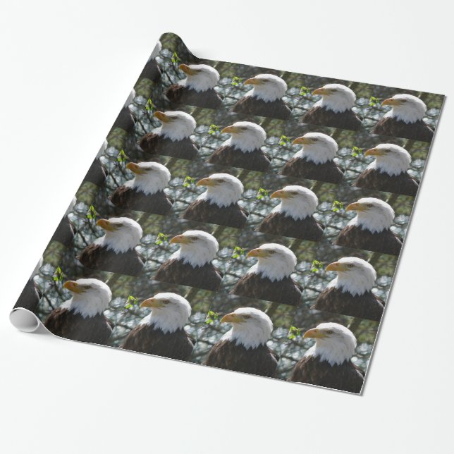 Eagle Wrapping Paper (Unrolled)