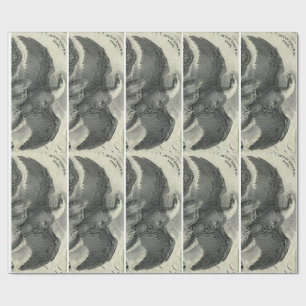 Eagle Wrapping Paper