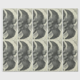 Eagle Wrapping Paper