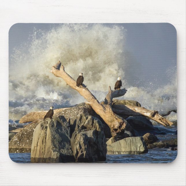 Eagles and Rough Water Mouse Pad (Front)