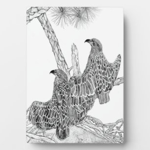 EAGLES HARRIET + M  E17 + E18 BECOMING A BIG EAGLE PLAQUE