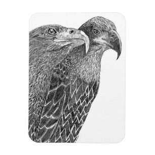 EAGLES HARRIET + M FLURRY OF FEATHERS & FRIENDS MAGNET