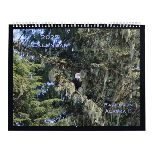 Eagles in Alaska II Calendar (Cover)