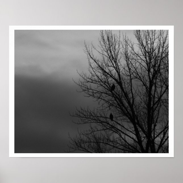 Eagles in Tree Poster (Front)