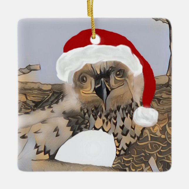 Eaglet E9 and Eggbert Christmas Ornament colour (Front)