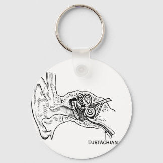 Ear diagram key ring