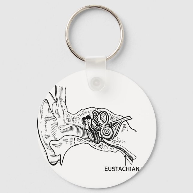 Ear diagram key ring (Front)