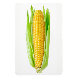 Ear of corn magnet