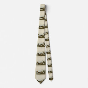 Eared Grebe (Black-necked grebe) - Audubon Tie