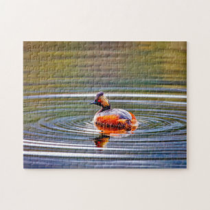 Eared Grebe Montana. Jigsaw Puzzle