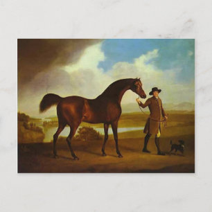 Earl Grosvenor's Bandy by George Stubbs Postcard