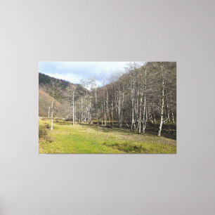 Early Autumn by the River - Wild Nature Romania Canvas Print