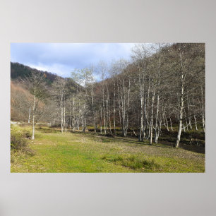 Early Autumn by the River - Wild Nature Romania Poster