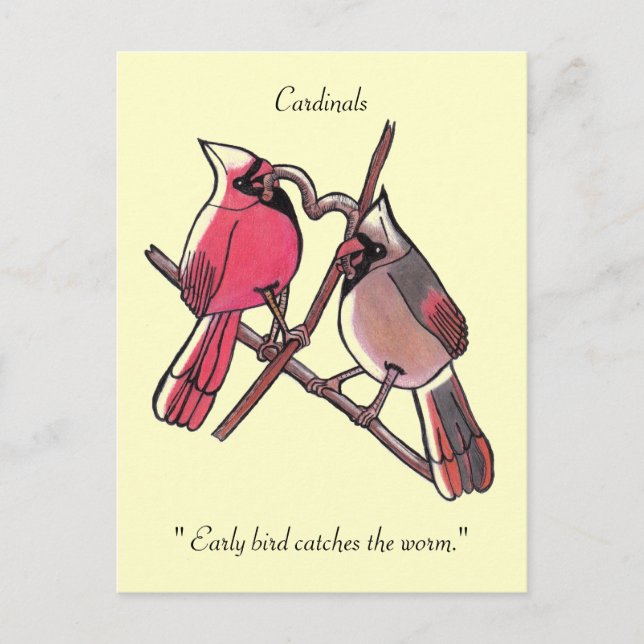 " Early bird catches the worm."Postcard Postcard (Front)