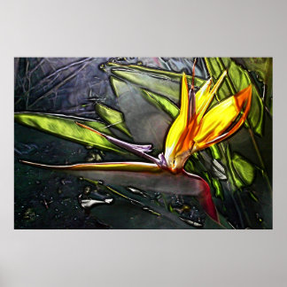 Early Bird Print