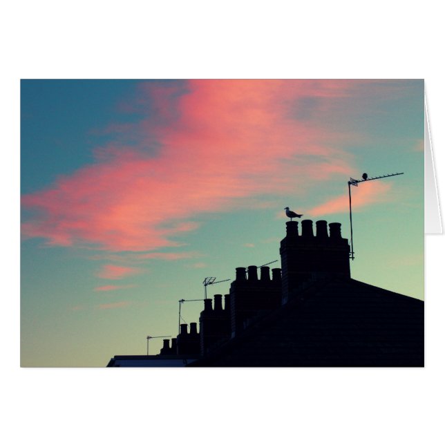 Early Birds (Front Horizontal)