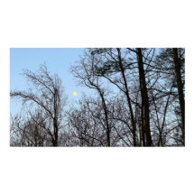 Early Evening Moon,