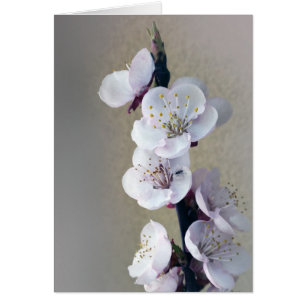 early in the morning