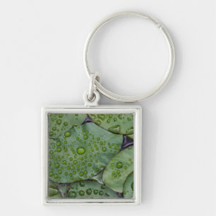 Early morning dewdrops on lily pads, Laurel Key Ring