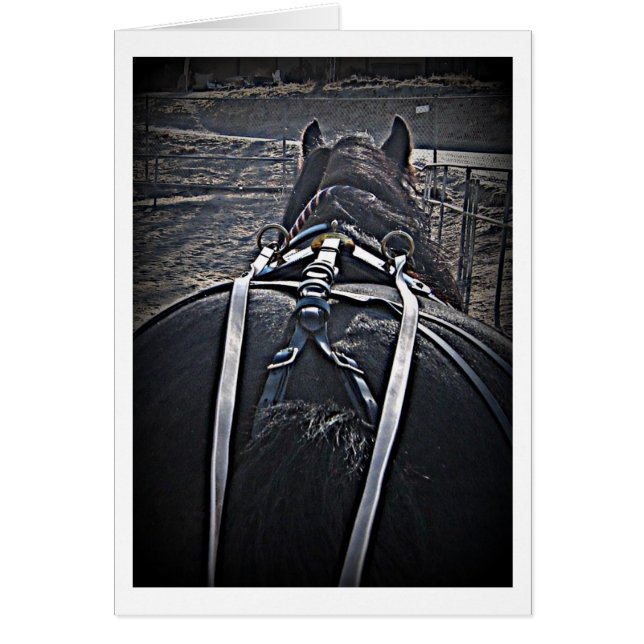 Early Morning Drive (Front)