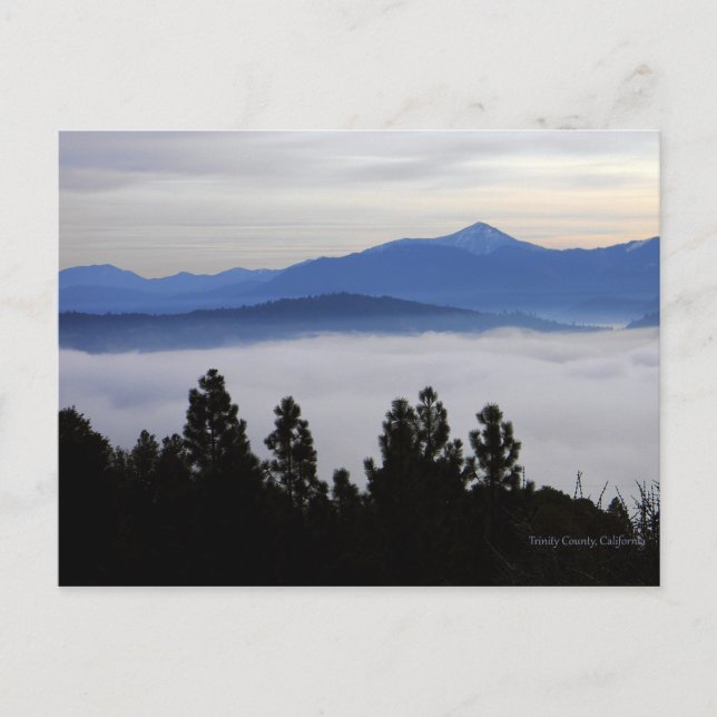 Early morning fog... postcard (Front)