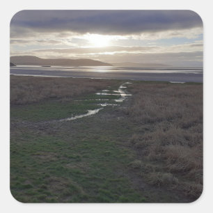 Early Morning Morecambe Bay Square Sticker