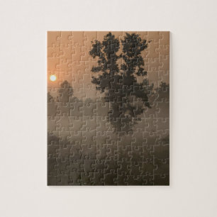 Early morning, rising sun and ground fog jigsaw puzzle
