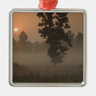 Early morning, rising sun and ground fog metal tree decoration