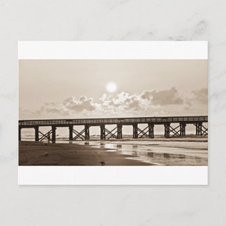 Early Morning Walk Postcard