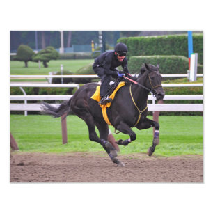 Early Morning Workouts at Saratoga Photo Print