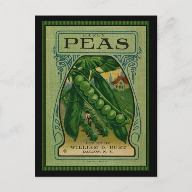 Early Peas Vintage Seed Packet Postcard (Front)