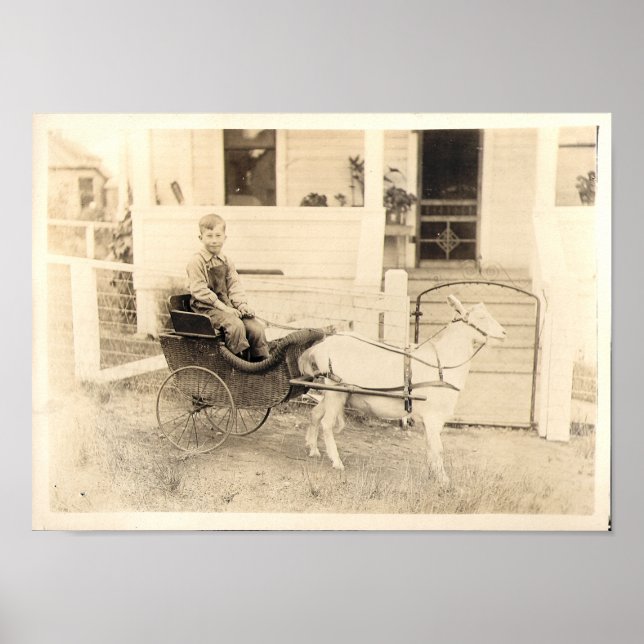 Early Photographs of Children, item 04 Poster (Front)