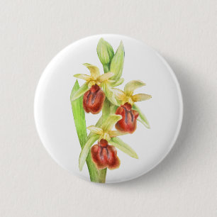 Early spider orchid watercolor art button badge