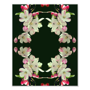 Early Spring Apple Blossoms Abstract Art 8x10 Photo Print