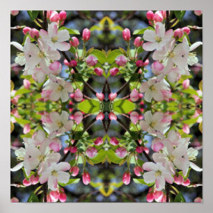Early Spring Apple Blossoms Abstract Poster