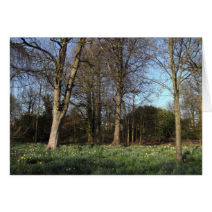 Early Spring at, Bute Park, Cardiff