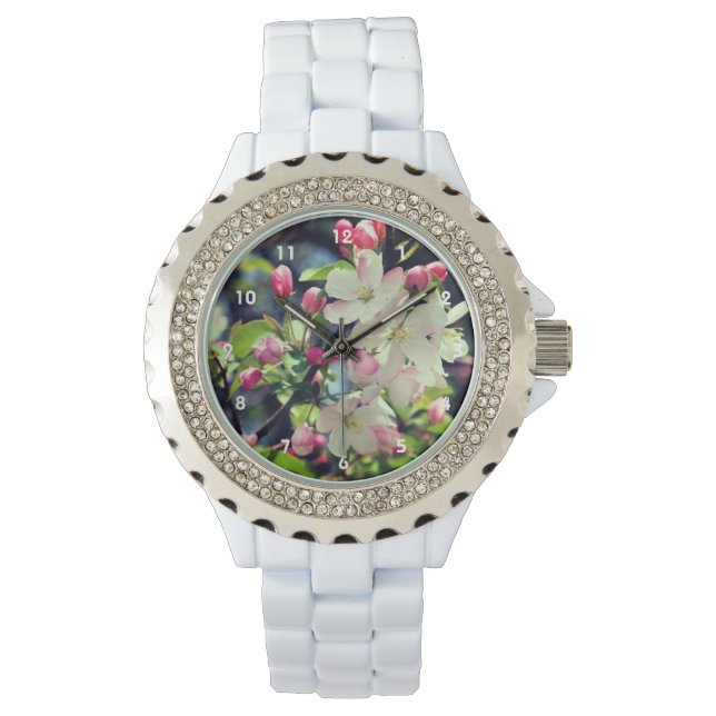 Early Spring Crabapple Blossoms 3 Close Up   Watch (Front)